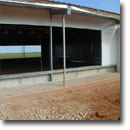 chicken shed window net